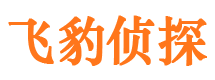 福建市婚姻出轨调查